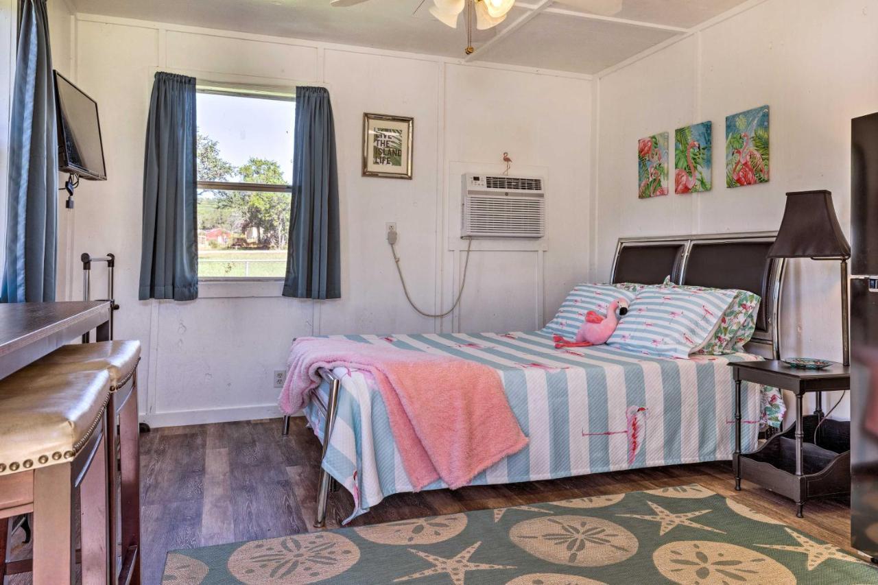 Flirty Flamingo Studio 1 Mi To Canyon Lake Exterior photo